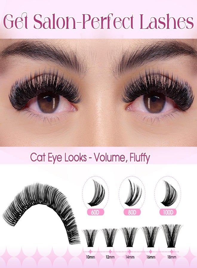 WENDY LASHES Wendy Lash Clusters Kit Packs: 980-Pcs, 60D, 80D, 80D, 100D, D Curl, 10-18mm Mixed, Cat Eye, Soft, Natural, Fluffy, DIY Eyelash, Individual, Eye lash clusters, Bulk Pack - Image 2
